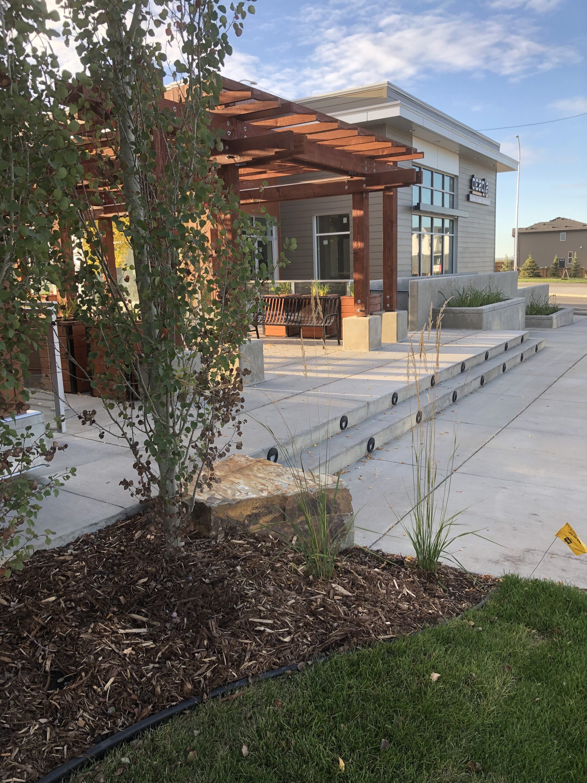 Avara Landscaping commercial site with pergola, concrete steps, birch trees, and stone-accent landscape at golden hour